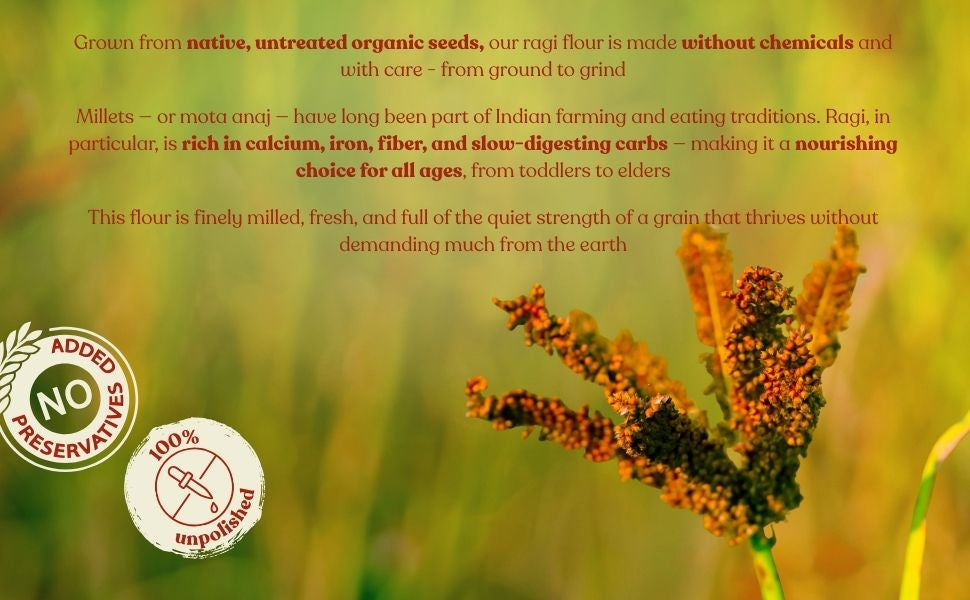 Ragi Flour | 100% Organically Grown | Unpolished Finger Millet Flour | 100% Whole Ragi