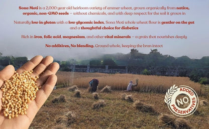 Sona Moti (Emmer/Khapli) Whole Wheat Flour | Organically Grown | Low Gluten | Diabetic Friendly