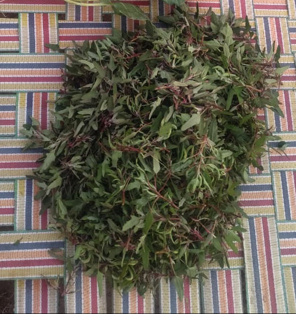 Bathua (Lamb's Quarters) | Iron & Calcium-Rich Winter Green | Bold, Earthy Flavour | Organically Grown