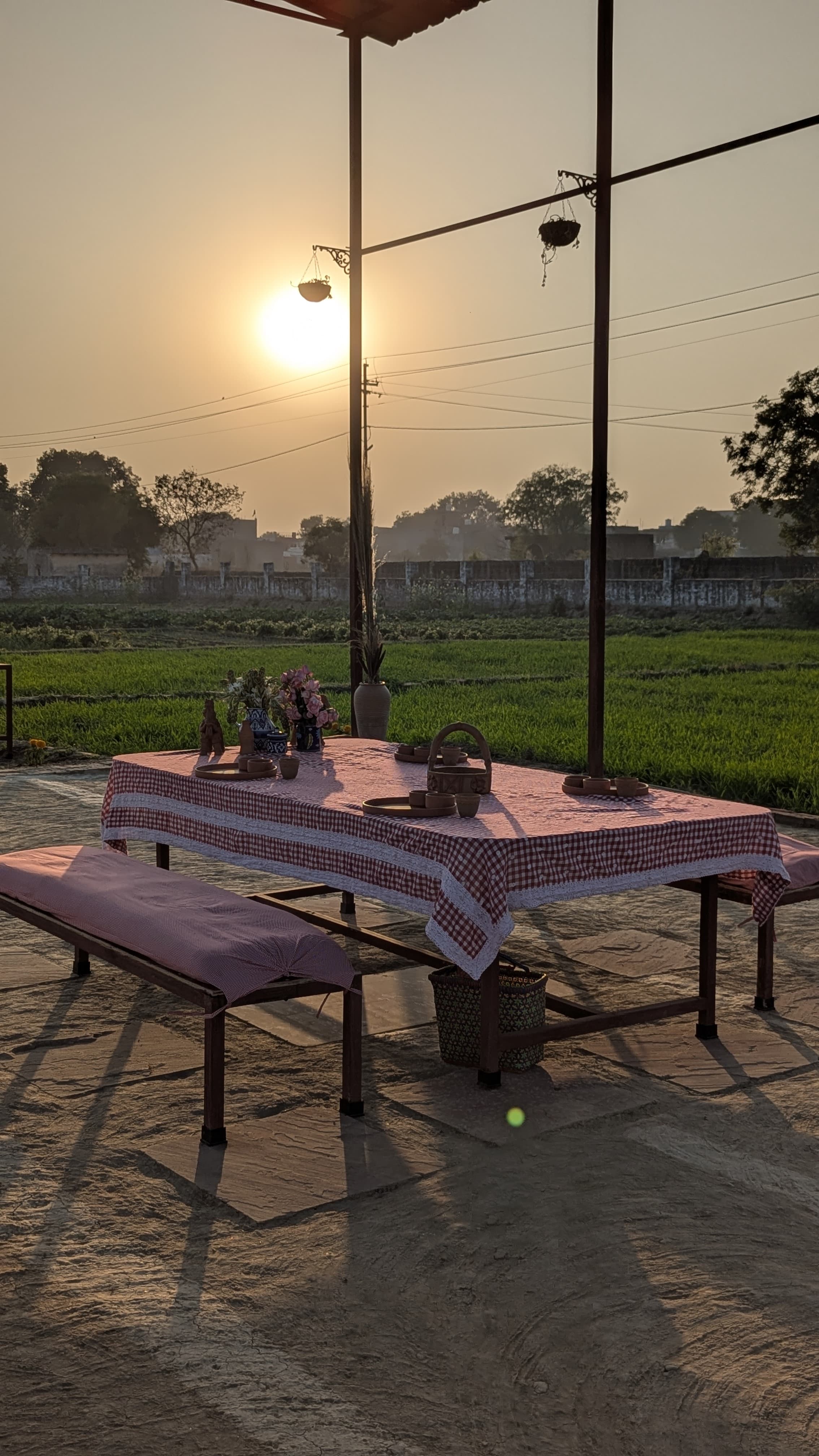 Good Grown'd Farm Picnic_1