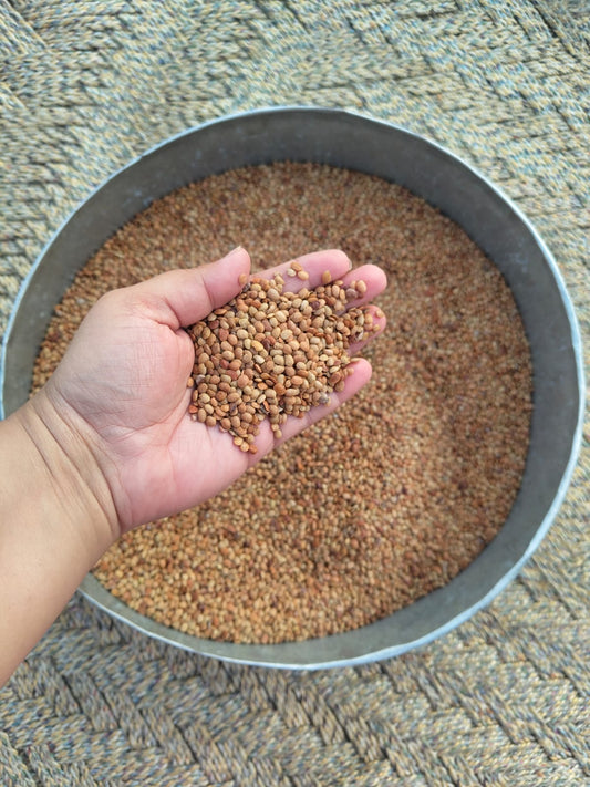 Horsegram (Kulath ki dal/Ulavalu) | Organically Grown | Rich in Iron | High Protein & Fibre | No Preservatives 🌱
