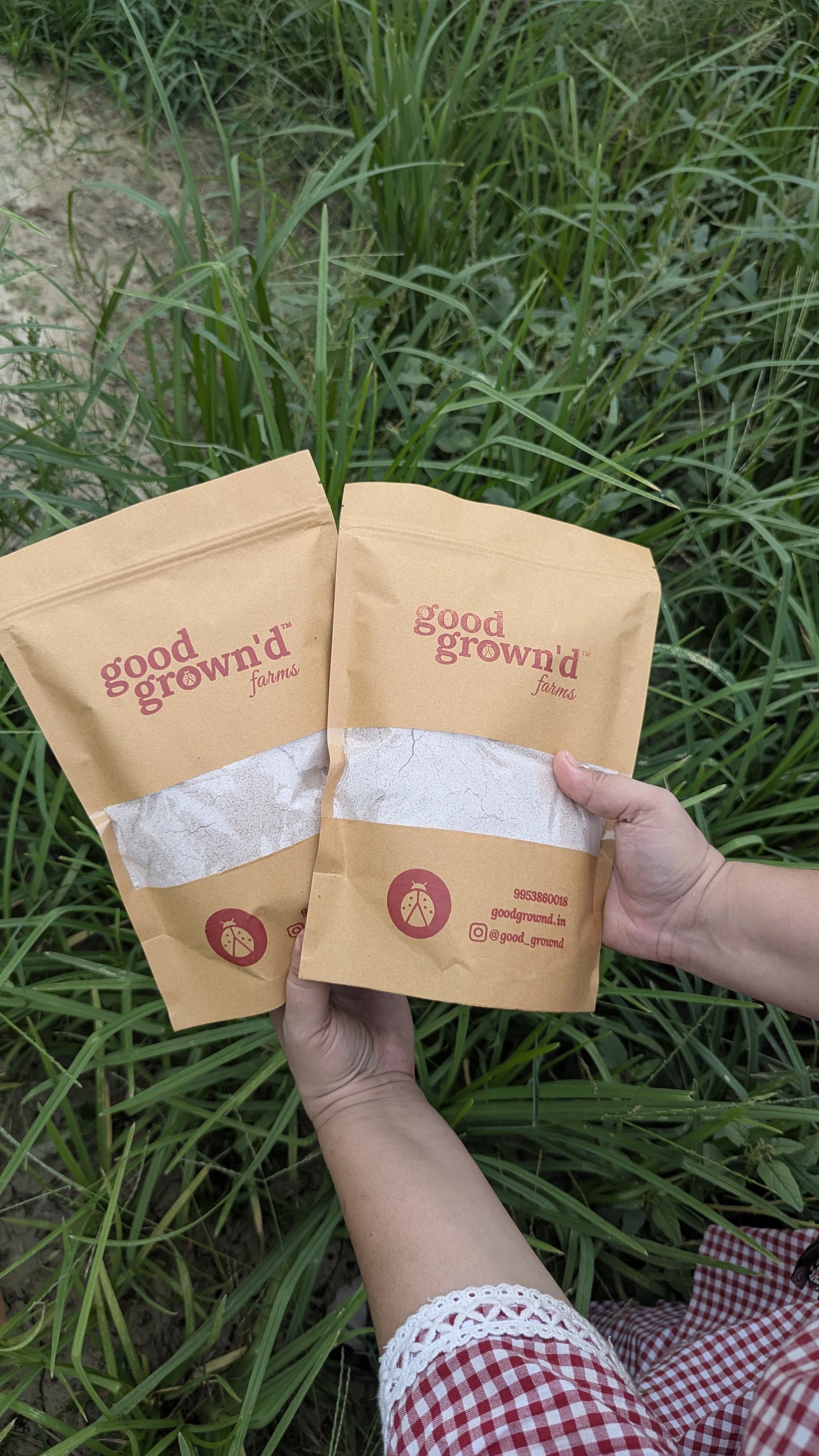 Ragi Flour in front of Ragi Crop
