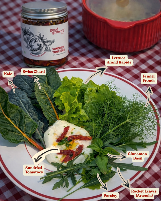 Salad Box | Organically Grown | No Preservatives