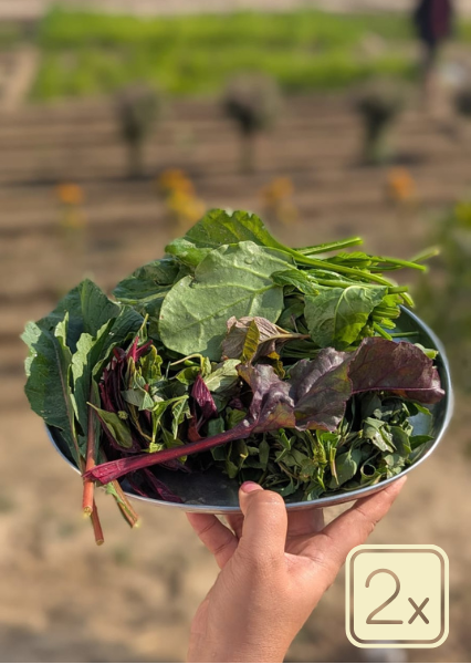 Saag Mix + Makke ka Atta | Classic Winter Duo | Farm-Fresh, Iron & Fiber-Rich Greens with Hearty Maize Flour | Organically Grown | No Preservatives