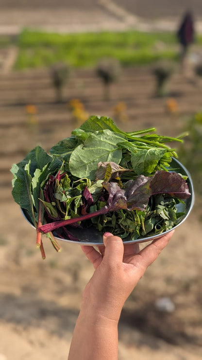 Saag Mix + Makke ka Atta | Classic Winter Duo | Farm-Fresh, Iron & Fiber-Rich Greens with Hearty Maize Flour | Organically Grown | No Preservatives