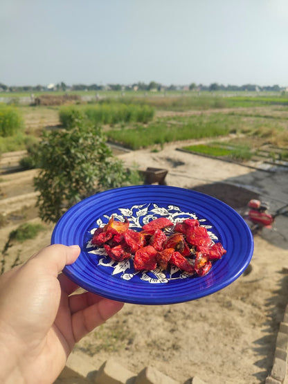 Sundried tomatoes on a plate
