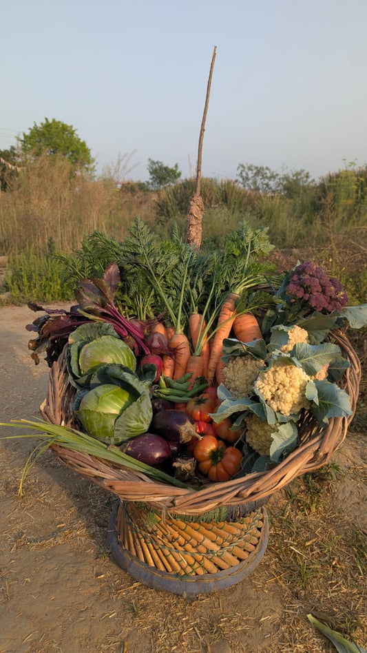Carrots | Sweet, Earthy | Crunchy & Nutrient-Rich | Organically Grown 🥕🌿