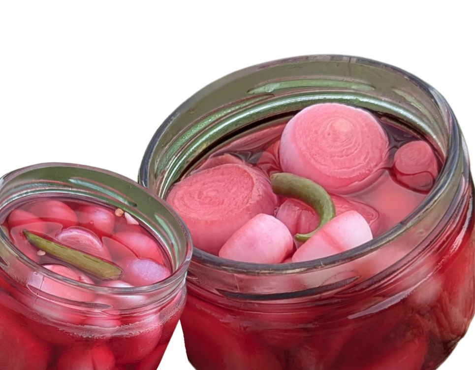 Vinegar Onions_Jar