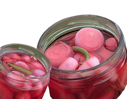 Vinegar Onions_Jar