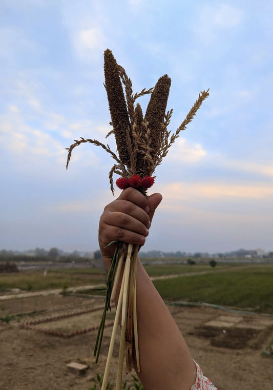 🌾 Dried Florets | Handpicked Stalks | Naturally Preserved