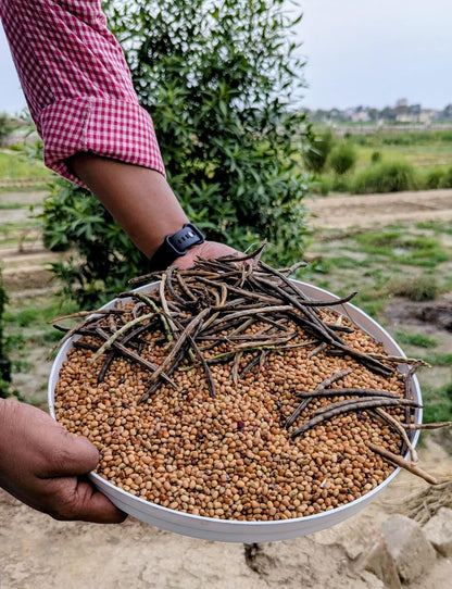 Native Red Cowpea (Lobia Red/Chawli) | Organically Grown | No Preservatives | High Fibre