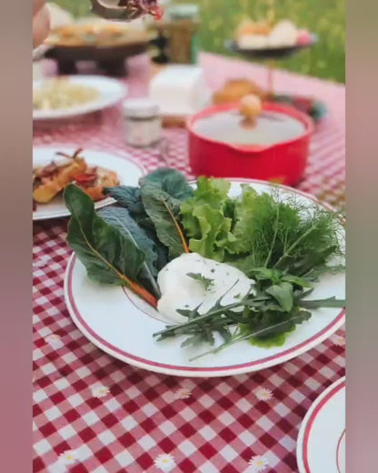 Salad Box | Organically Grown | No Preservatives